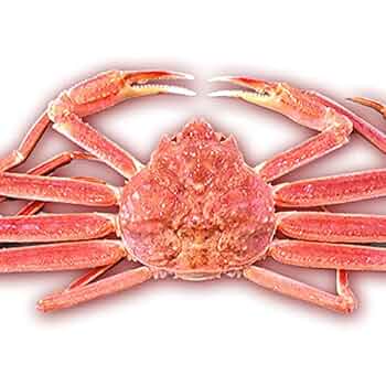 Amazon.co.jp: 魚水島 活ズワイガニ姿 新潟・佐渡産「活 本