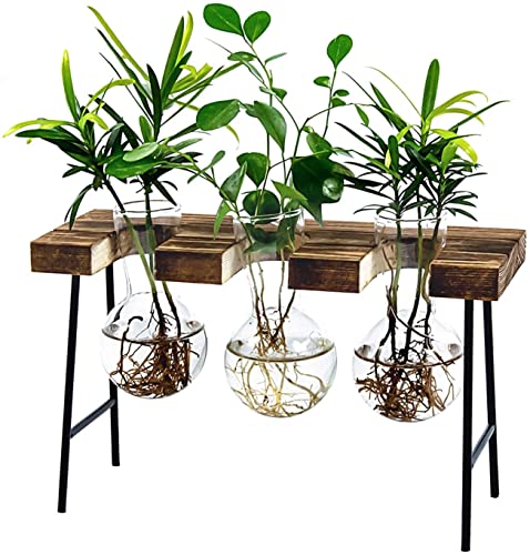 LESES Vase Verre, Stations Propagation Terrarium Plante avec Support en Bois pour Plantes Hydroponiques Vase Decoratif pour Maison
