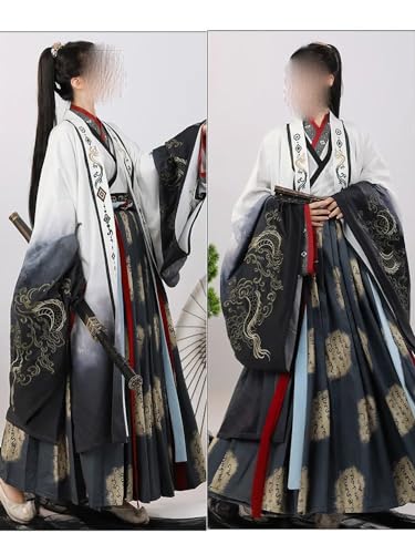Hanfu traditionnel Weijin pour éviter les costumes de danse rigides