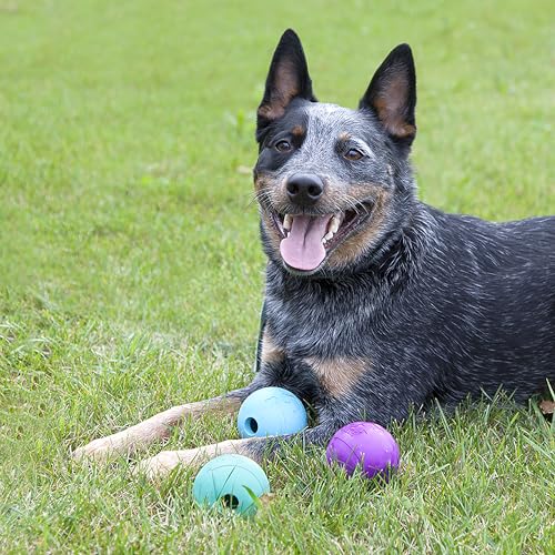 Chew King Apportierbälle, extrem haltbar, Naturkautschuk, 3 Stück – 7,6 cm Bälle (CM-0263-CS01)