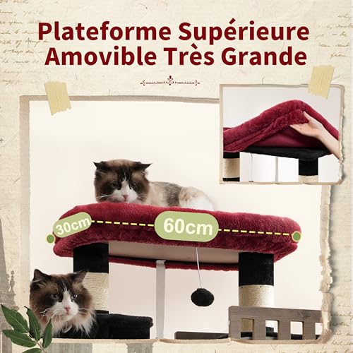Arbre à chat pour grands chats Gitelsnour GCT033BR stable avec double niche - 4