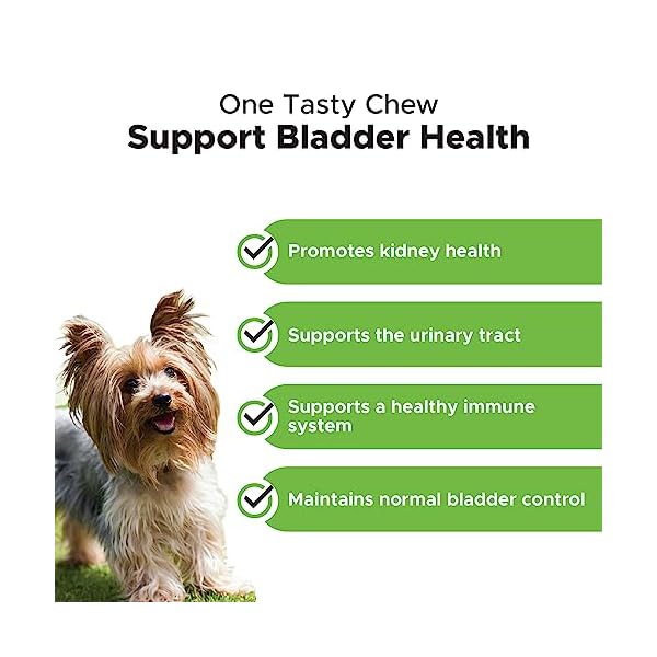 PetHonesty-Cranberry-Bladder-Health-for-Dogs–Contains-Active-Ingredients-Cranberry-D-Mannose-to-Help-Support-Dog-Urinary-Tract-Health-Dog-Bladder-Support-Kidney-Support-for-Dogs-Bacon PetHonesty-Cranberry-Bladder-Health-for-Dogs–Contains-Active-Ingredients-Cranberry-D-Mannose-to-Help-Support-Dog-Urinary-Tract-Health-Dog-Bladder-Support-Kidney-Support-for-Dogs-Bacon
