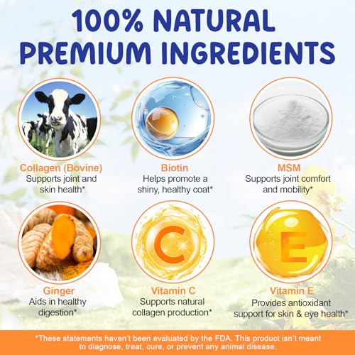 Kollagen Hund 60ml, Liquid Collagen for Dogs, Flüssiges Kollagen für Hunde Gelenke, Haut und Fell, Collagen Hund mit Biotin & MSM, Unterstützen Juckende Haut Relief und die Verdauungsgesundheit