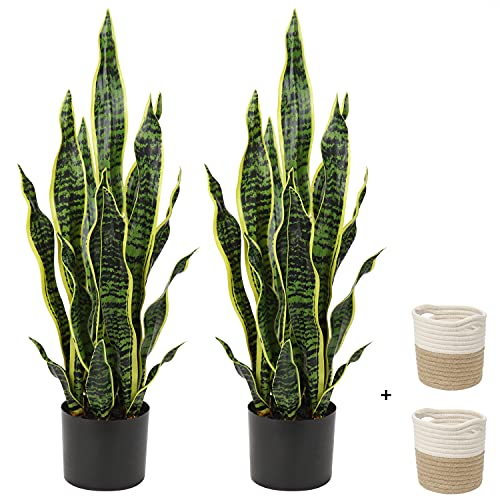 What Is The Best Faux Snake Plant On The Market Today BNB