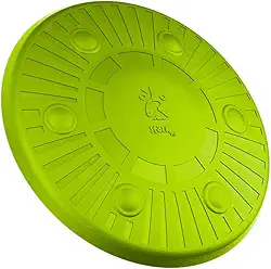 Frisbee Disco Voador Stark Pet, Brinquedo de Arremesso para Cães, em Material Termoplástica, Cor Verde Neon
