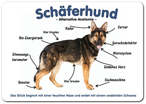 Merchandise for Fans Blechschild/Warnschild/Türschild - Aluminium - 15x20cm - Deutscher SCHÄFERHUND: Alternative Anatomie - 01