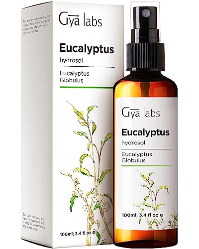 Gya Labs Eucalyptus Hydrosol Spray for Skin Care - Air Freshener Room Spray - Face Mist Spray for Skin - Natural Eucalyptus Oil Spray - 3.4 Fl Oz