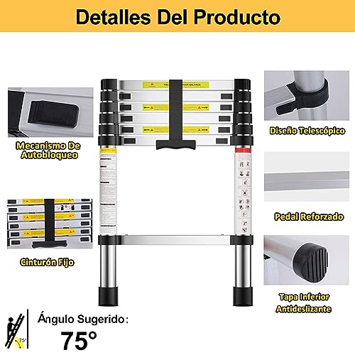 Opiniones y reviews de Escalera 2 metros Top cinco. 3 Opiniones y reviews de Escalera 2 metros Top cinco. 3