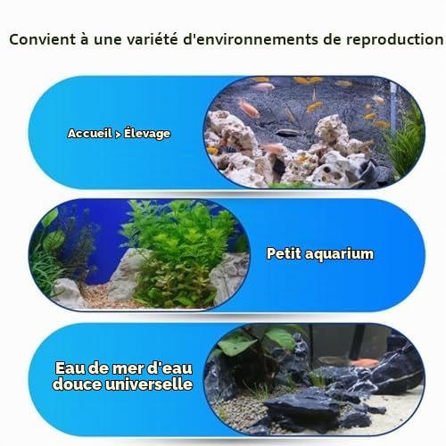 Pyhodi Refroidisseur D'aquarium, Système de Refroidissement par Eau Silencieux de 50 à 122 °F avec Pompe et Tuyau, 1/4 16 Gal 60 L, Refroidisseur d'eau à Refroidissement Rapide