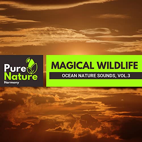 Magical Wildlife Ocean Nature Sounds, Vol.3 by VARIOUS ARTISTS on