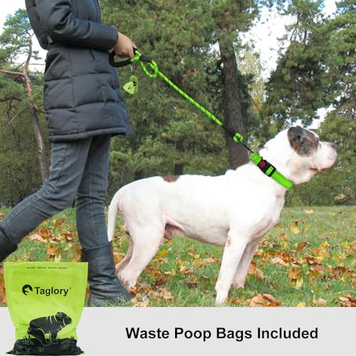 Taglory Hundeleine mit bequemen gepolsterten Griff, robuste Hundeleine zum Trainieren und Gassi gehen, 180×1.2cm Reflektierend Führleine aus weichem Nylon für große Hunde, grün