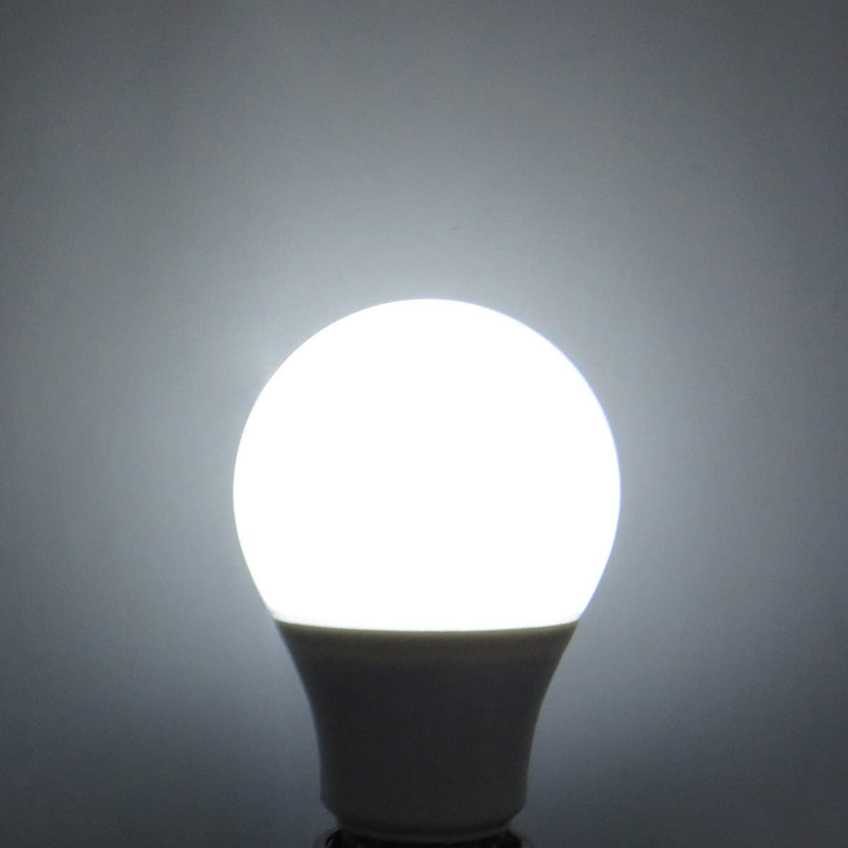 ZHENMING LED E27 Edison Screw Bulb 12 Volt 3W (Equivalent to 30W) Low Voltage Cool White 6000K for Off Grid Solar Lighting Marine Camper Lighting - Image 4