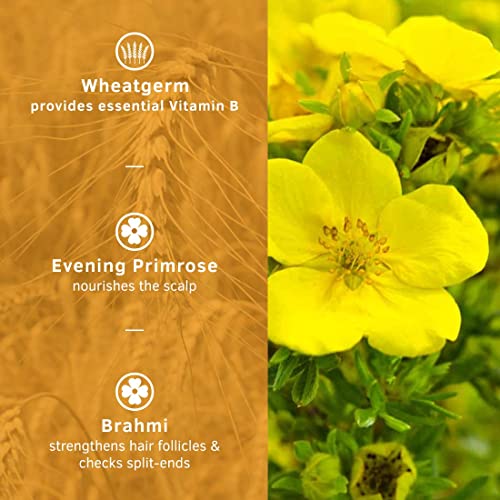 USTRAA Daily Use Hair Conditioner - 100gm No Sulphate No Paraben with Brahmi & Vitamin E - use after shampoo - Image 4