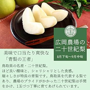 【選べるおまけ】他とは違う超こだわりの逸品！ 200年農家のさがびより20kg 楽天市場】さがびより 20kgの通販