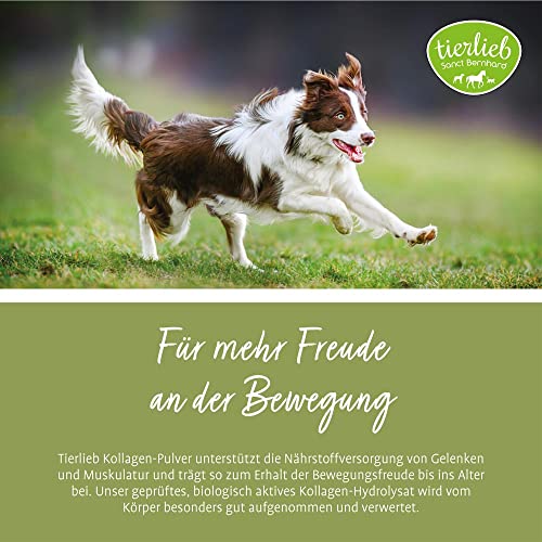 Sanct Bernhard tierlieb Kollagen-Pulver | Für Hunde & Katzen | Geprüftes, biologisch aktives Kollagen-Hydrolysat | 400g