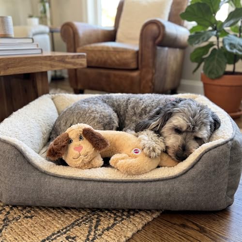Image of SPOT Soothers Warm Hug Pal - 10in Plush Microwavable Calming Dog Toy with Lavender Scent & Squeaker, Separation Anxiety & Sleep Aid for Medium & Large Dogs