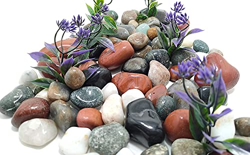 Image of Decorative Stones for Vase Filler or Pebbles for Home Decor /Decorative Capsule Pebbles /Glass /gravels /Stone /Beads for Aquarium, Table, vase, Fountain (Mutlicolor, 480 Gram)