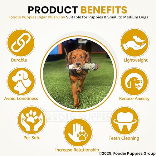 Image of Foodie Puppies Interactive Dog Plush Toy - (Cigar Design, 24cm) for Dogs & Puppies | Non-Toxic, Stuffed, Grinding Teeth, Playful, Soft, Chew Toy for Small to Medium Dogs