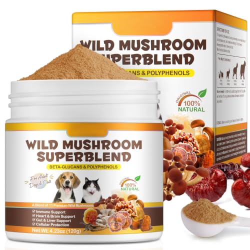 Mushroom Powder for Dogs & Cats - Lipoma, Immune & Digestive Support, 120g
