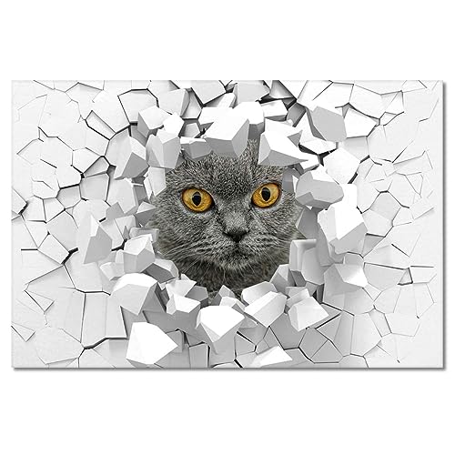 Tableau imprimé sur toile British shorthair 120x80cm de style moderne