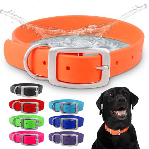 Regal Dog Products Large Orange Dog Collar with Heavy Duty Double Buckle & D Ring | Vinyl Coated...