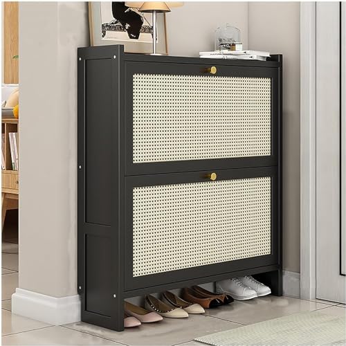 Shoe Cabinet for Entryway, Freestanding Shoe Rack Organizer, Entryway Wooden Shoe Cabinet, Modern Slim Shoe Cabinet with Doors, Hidden Shoe Storage for Entr(Size:L-50cm/19.7in,Color:Two Doors-Black)