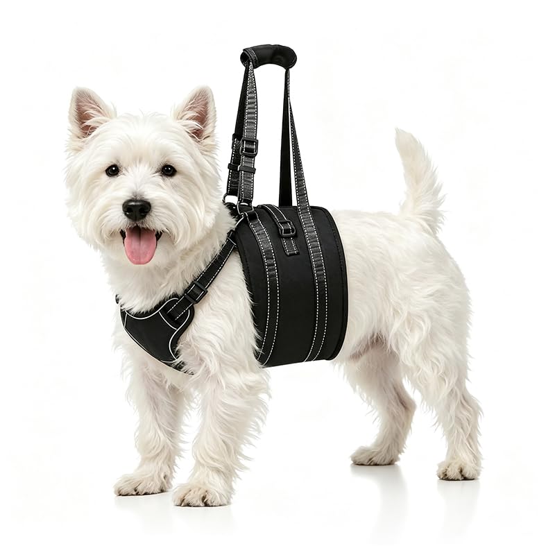 Image of NOYAL Dog Lift Harness Sling - Adjustable Pet Carrier for Senior Dogs with Arthritis Joint Injuries, Emergency Support Rehabilitation Aid for Nail Trimming, Stairs Assistance
