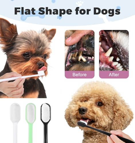Image of Toothbrush for Small Dogs, 6 Pcs Dog Teeth Brush, Teeth Cleaning for Dogs, Convenient Puppy Tooth Brush for Dog, Cats (3 Colors)