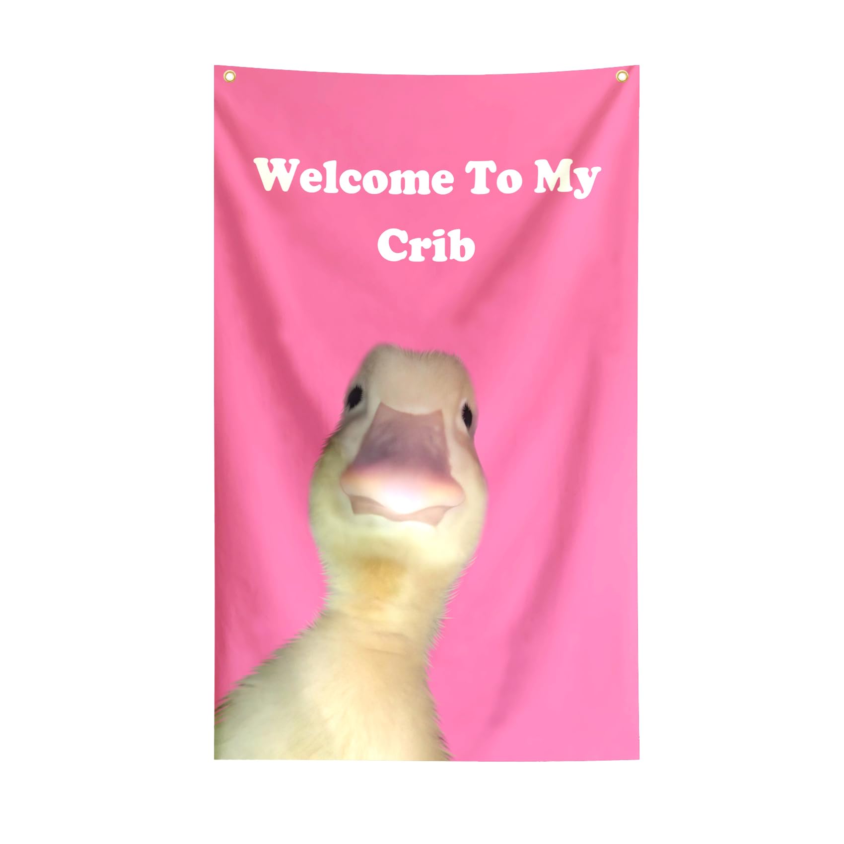 MapleSayes Welcome To My Crib Funny Cool Flags Meme Flag Banner 2X3 Ft College Dorm Room Guys Bedroom Mancave Frat Girls Wall Hangings Pinky