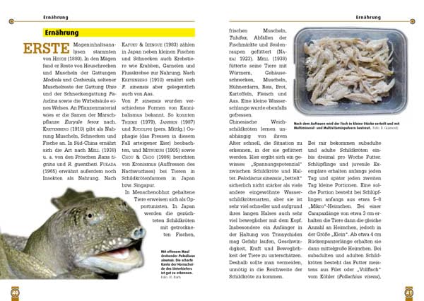 Die Chinesische Weichschildkröte: Pelodiscus sinensis (Buchreihe Art für Art Terraristik)