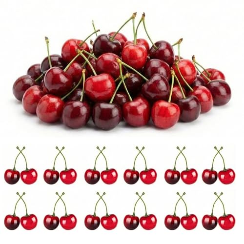 SWYZOR 30 Pieza Cerezas Artificiales Rojas
