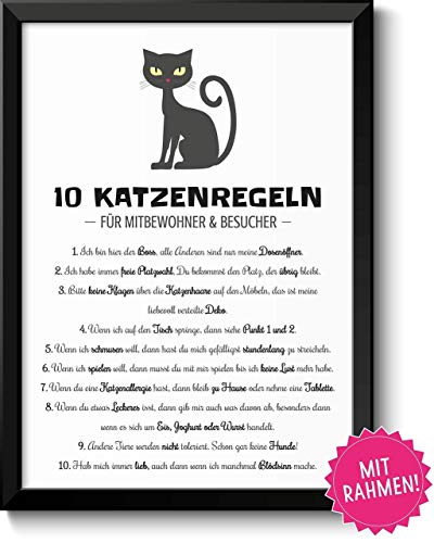 Lustige Katzenregeln Hausordnung Bild im schwarzem Holz-Rahmen Geschenk Geschenkidee für alle Katzen-Liebhaber