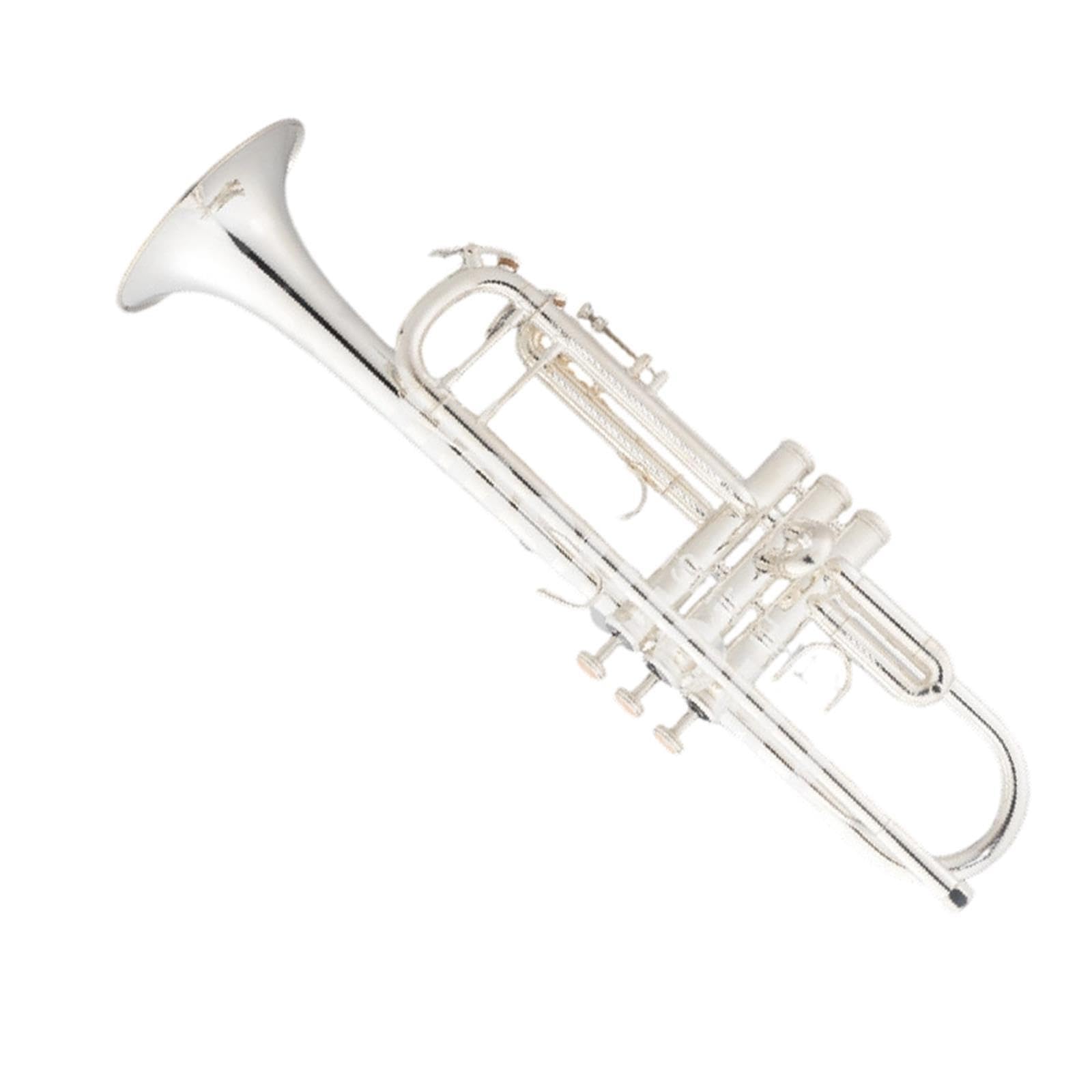Professional Trumpet Trompeta en si bemol de calidad profesional