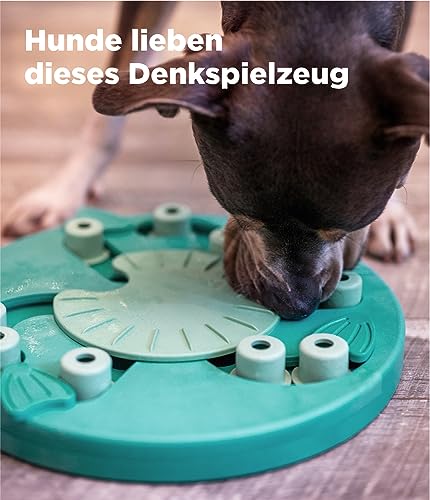 Outward Hound by Nina Ottosson Dog Worker Treat Puzzle Enrichment Toy, Level 3 Advanced, Green, Dog Worker (Green)