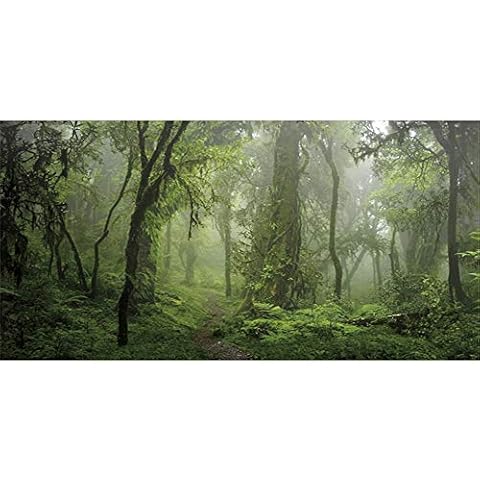 AWERT 120x61cm Foggy Forest Terrarium Background Stone Green Tree Reptile Habitat Background Tropical Rainforest Aquarium Background Durable Vinyl Background (Not Sticker) Cover