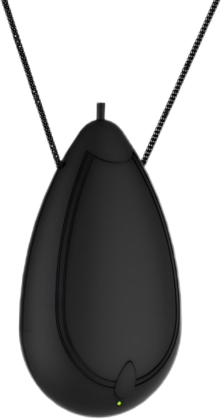 Purificateur d'air portable, collier de purificateur d'air personnel rechargeable, mini ioniseur d'air portable élimine le pollen, la fumée, la poussière pour les voyages en plein air (noir)