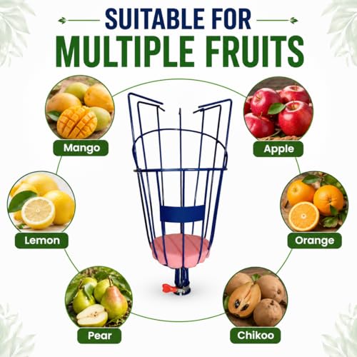 Image of Go Garden Fruit Picker Basket Big Size | Mango Plucker Heavy Duty Fruit Plucker | Apple, Lemon, Chikoo, Orange Mango Picker Tool | Easy & Safe Fruit Harvesting Basket | Garden Tool - Set of 1