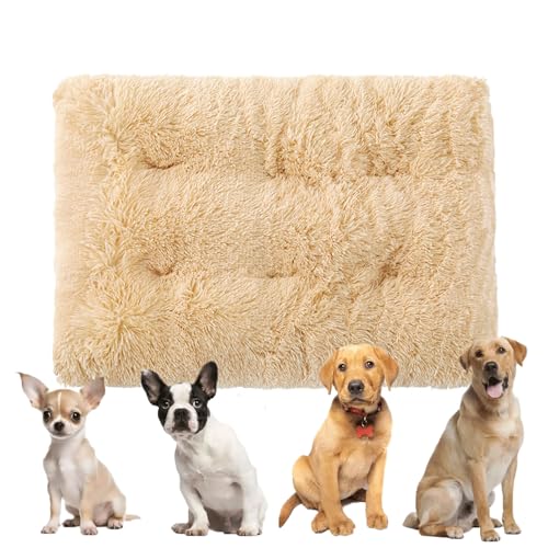 N[gp[tH[pxbhA`ӂӂvbVybgxbhqpxbhAN[gppxbhA􂦂鏬^A~ߒtPlpbh}bgAp,x[W,L