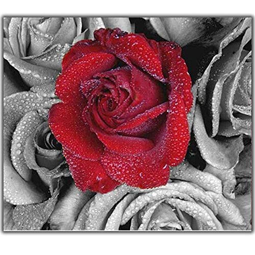 5D Diy Diamant Peinture Point De Croix Rouge Gris Rose Couture 3D Diamant Broderie Plein Rond Mosaïque Décoration Autocollant-Foret rond 50x40cm Cover