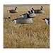 Greenhead Gear Canada Goose Shells