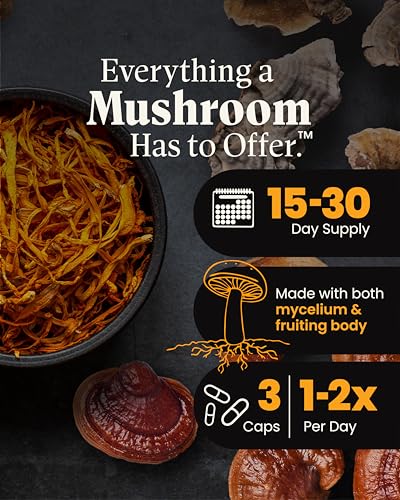 Mushroom Wellness Everyday 10: Organic 10-in-1 Mushroom Capsules with Lion's Mane, Shiitake, Reishi, Turkey Tail & More, Mushroom Powder Supplement, Immune & Nervous System Support, 90 Vegan Capsules - Image 4