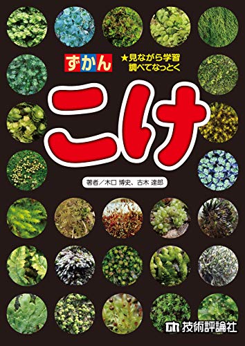 ずかん　こけ すかん