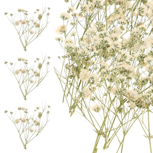 Ramo natural de flores secas para decoración miniatura 1