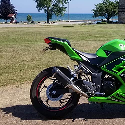 Kennzeichenhalter Motorrad Gebrauch for Kawasaki Ninja 300 EX300. 250. EX250 Z250 Z300 2013-2021 Motorrad-Kennzeichen hinterer Schwanz Tidy Fender-Eliminator
