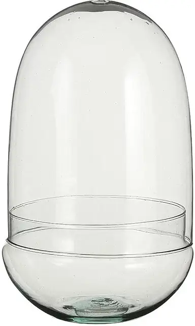 Terrario de Cristal con Respirador y Base Ovalada 30cm - Comprar Terrario Plantas
