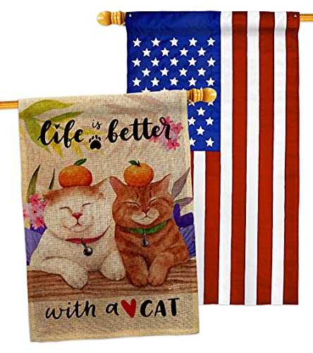 Angeleno Heritage Better Burlap House Flag Pack Cat Kitten Meow Spoiled Paw Fur Pet Nature Farm Animal Creature Applique Banner Small Garden Yard Gift Double-Sided, Made in USA