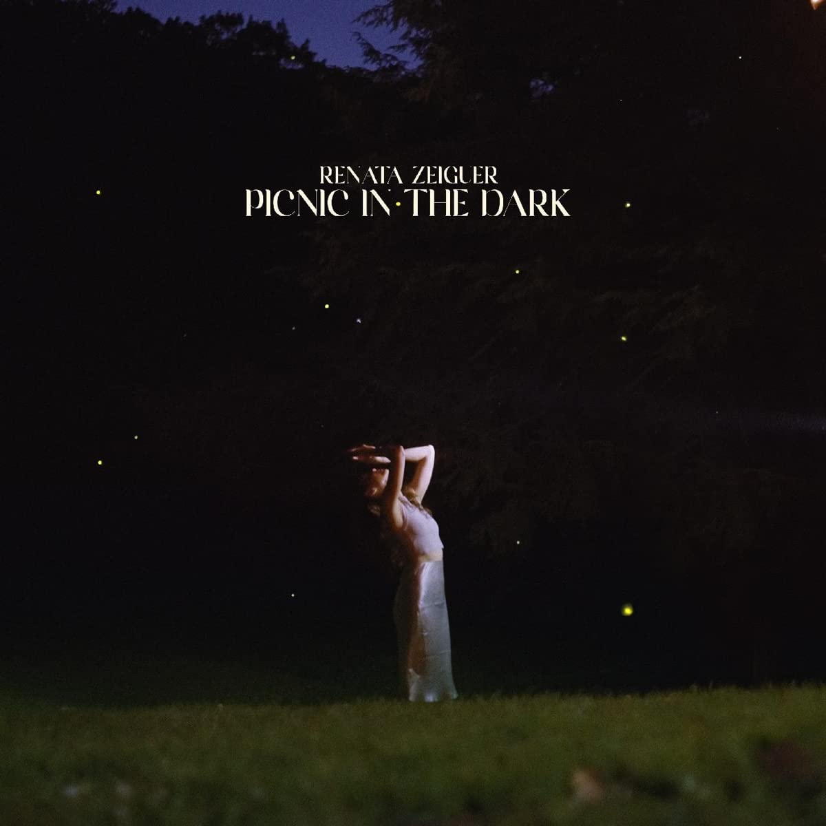 Picnic In The Dark (LP) [VINYL]