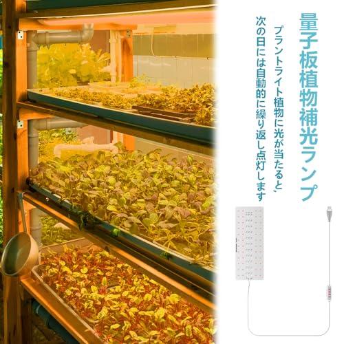 PAVIKE 植物育成ライト の商品画像 3