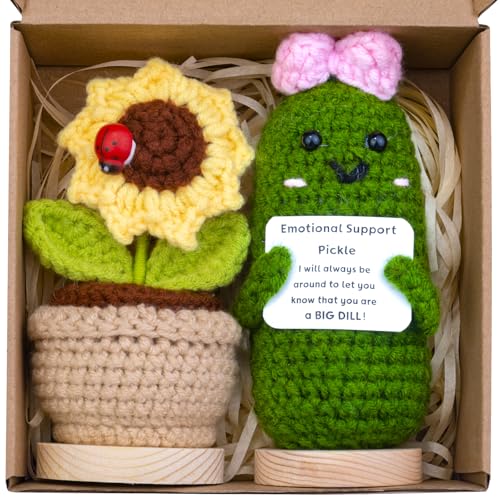 CoFuBcad 2 piezas hechas a mano de apoyo emocional pepinillo pepinillo regalo divertido pepino de punto con tarjeta frontal y base de madera girasol maceta decoración de oficina