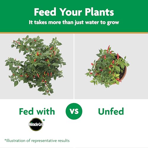 Miracle-Gro Water Soluble Plant Food Vegetables & Herbs, 2 lb. (2-Pack) - image 8
